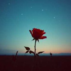 Вибирай шлях