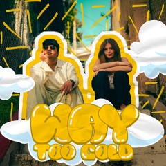 Aryan Jolly Ft. Elise Del Mar - Way Too Cold