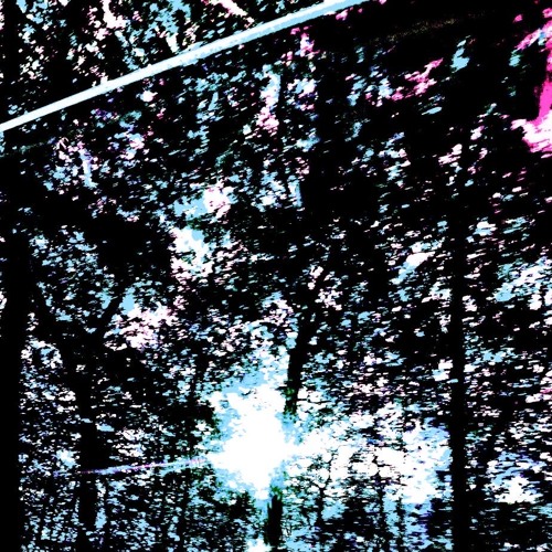 NO RZN ft FUCKDISTURBED