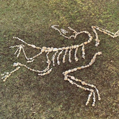 Arcteryx (prod. light)