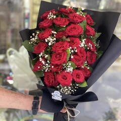 ' ست البنات يا مانجا