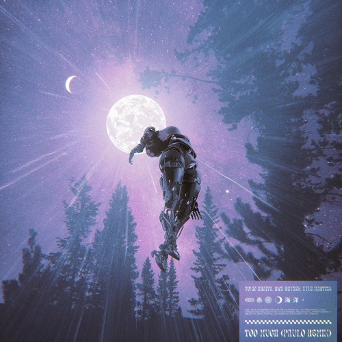 Toxic Wraith, Rick Rhynes, KYLE MARTINS - Too Much (paulø Remix) [5TH PLACE WINNER]