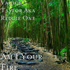 Am I Your Fire