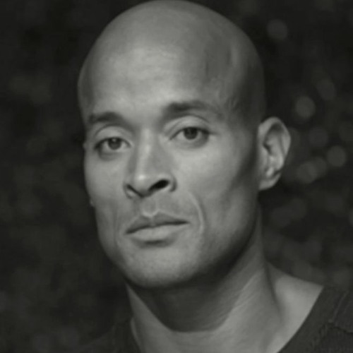 David Goggins Motivation x Dawn Chorus x Success isn't a straight line