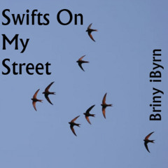 Swifts On My Street
