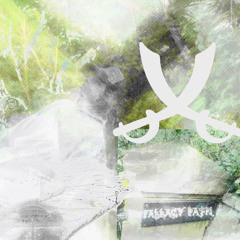 fallacy path