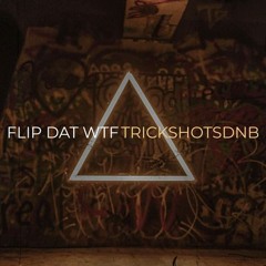 TrickshotsMusic - FLIP DAT WTF