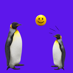 Barabass auf Expedition zu den Pinguinen I Südpol I 12/2025