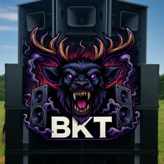 BKT SOUND TOOL