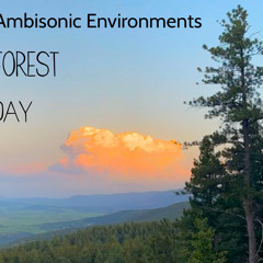 Ambisonic Environments: Forest Day