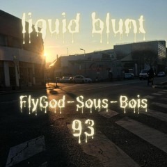 FlyGod-sous-Bois 93