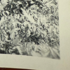 flipband-sd-in-da-club-mix