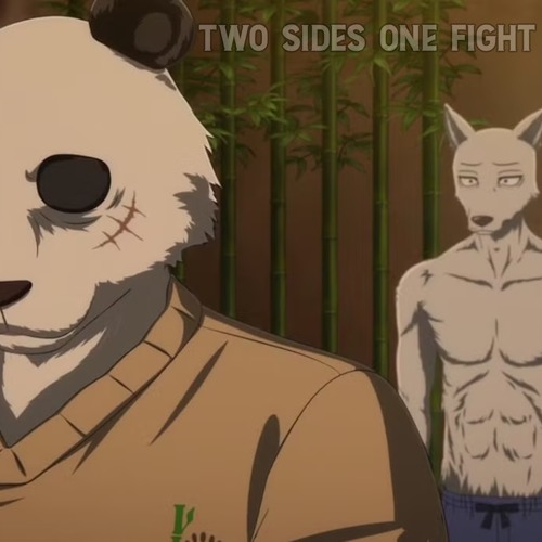 2 Sides 1 Fight