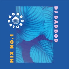 Good Nature Mix - No.1 - DJ DadBod