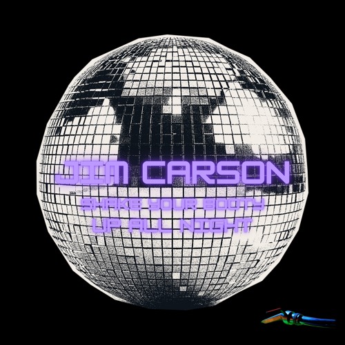 Shake Your Booty up All Night (Edit)