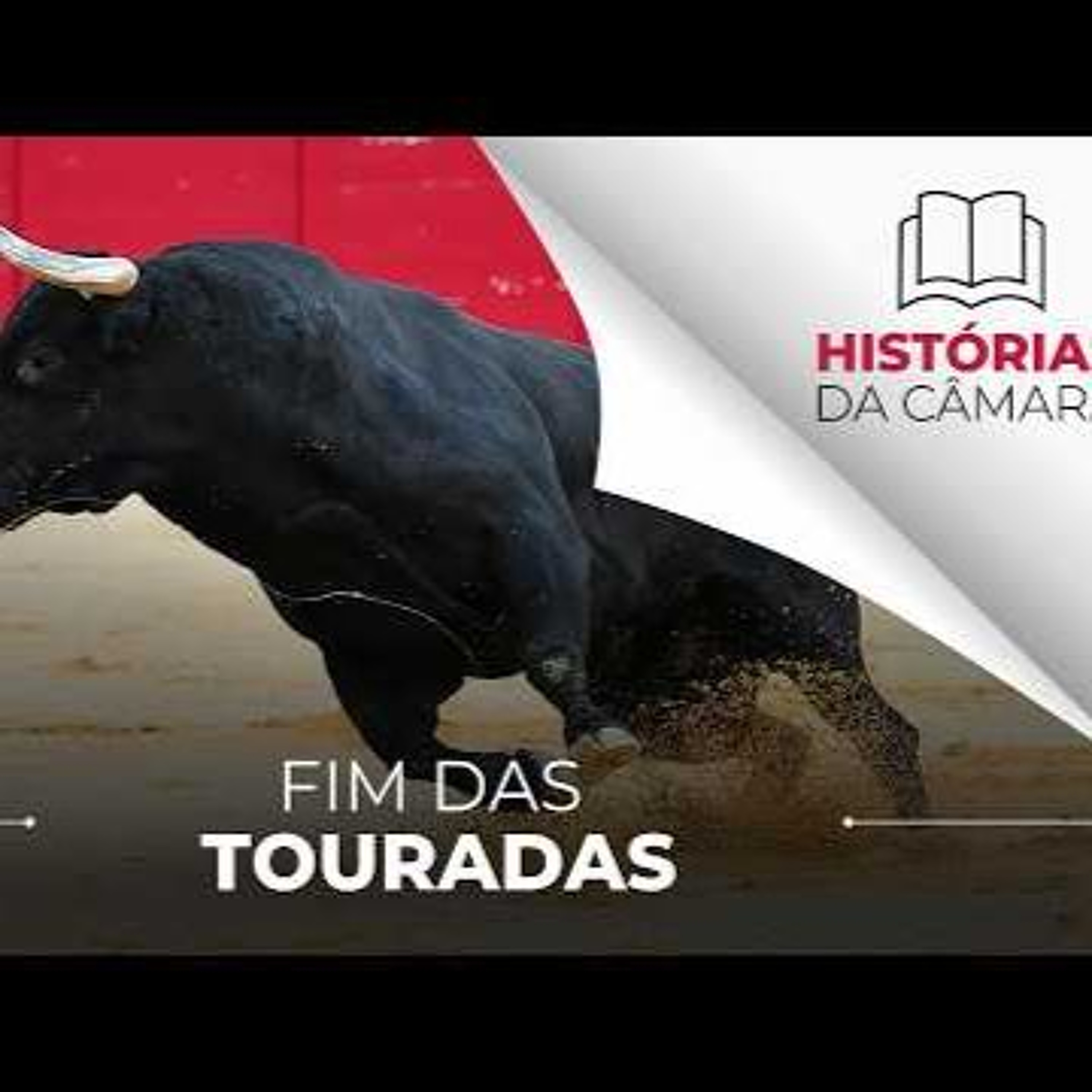 CÂMARA MEMÓRIA - EMPRESÁRIO TENTOU DERRUBAR LEI QUE PROIBIA TOURADAS EM SÃO PAULO episode artwork