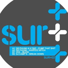 Vek - Muzik [Sur + sampler 02]