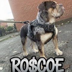 Devilman  - Fire Bars Freestyle