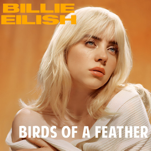 Stream BIRDS OF A FEATHER - Billie Eilish [Download] ↓ by Best