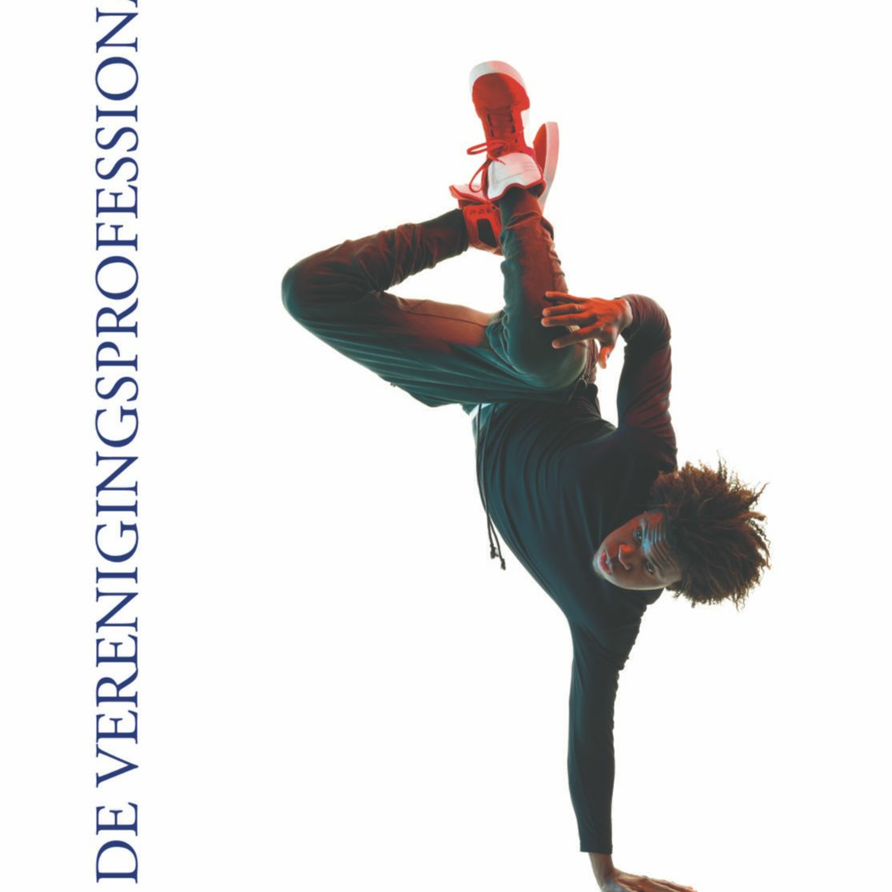 VP de Verenigingsprofessional