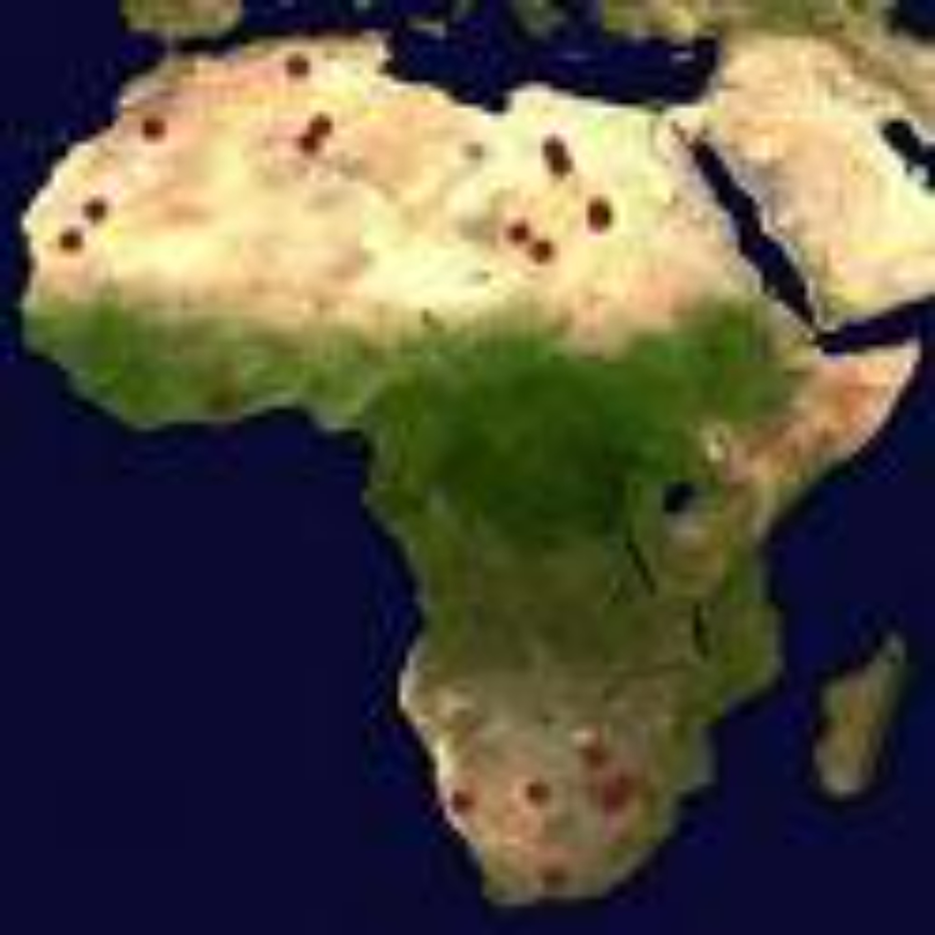 Black History Month Edition: The Struggle Continues in The Sahel, Sudan, the Congo and Haiti