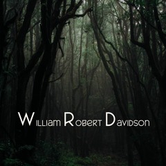 Dark Enchanted Forest