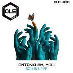 Antonio BM, MOLI - Disconected Snippet