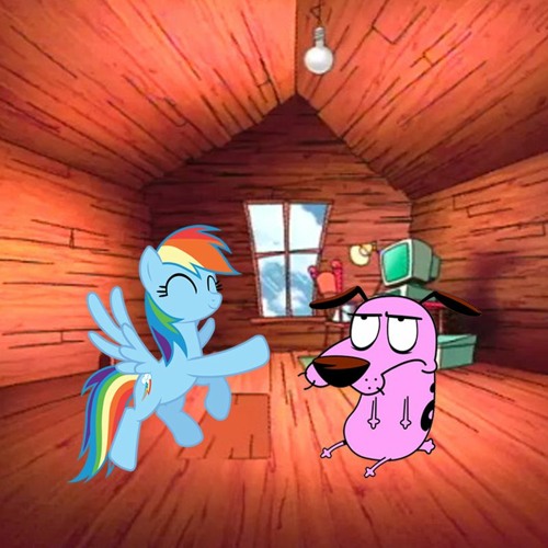 courage vs dashie