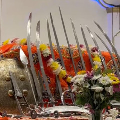 Harjas Singh - Jin ke chole Ratare Piyaare- Aston kirtan darbar