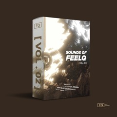 Sounds Of FeelQ Vol. 2 [FREE DOWNLOAD]