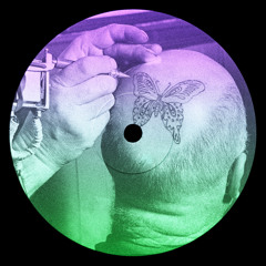 Butterfly Effect (DJ Ron Dixon's Clubstep Remix)
