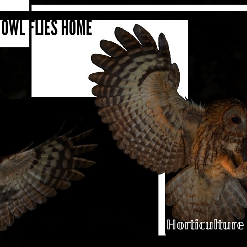 Aeaea Island (Circe)