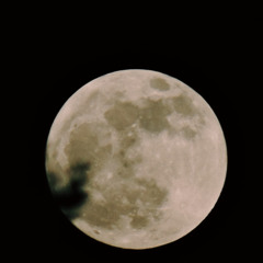 moonlit motion