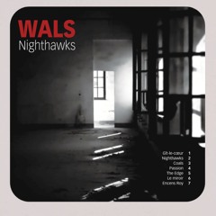 NIGHTHAWKS EP