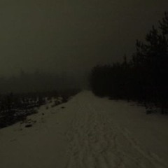 murdasixxmæn - metalicsilver2 (increased sound)