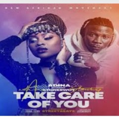 Adina--Take-Care-Of-You-ft.-Stonebwoy-Prod.-by-Street-Beatz.mp3
