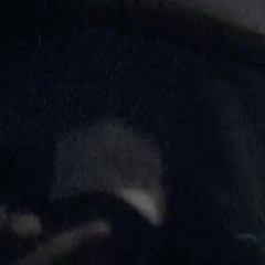 woot noot x celer logica x marv krown vc-cook