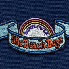 All I Wanna Do (The Beach Boys)