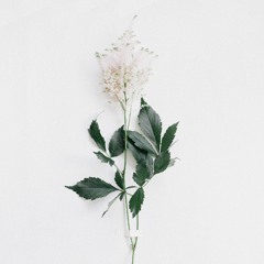34+35 by Ariana Grande (acoustic) cover.mp3