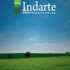 Ing. Agr. Gonzalo Machado 180625