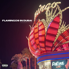 Flamingos in Dubai (freestyle)