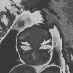 Takin My Swag ft. WK Aki