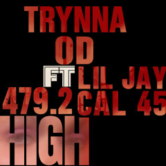 trynna od ft 479.2high