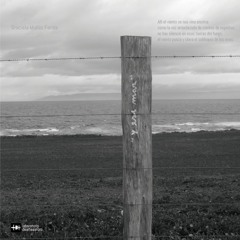 Allí el viento se nos vino encima como la voz amordazada de cientos de espíritus...