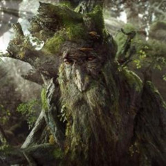 ForestBum-Lost trail
