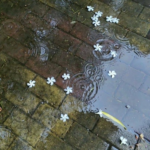 Rain pt II (prod. 444jet)