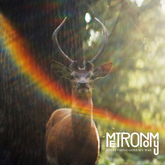 Metronomy - Everything Goes My Way (Ewan Pearson Remix)