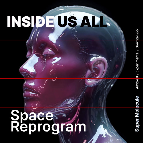 Inside Us All - Space Reprogram