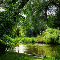 Slow Morning Down the River