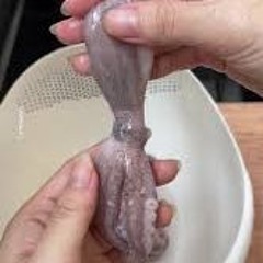 ONE GIRL ONE OCTOPUS VIR*L VIDEO LINK